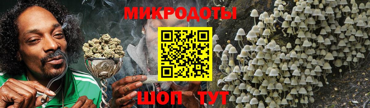 Воронеж  Псилоцибиновые грибы Psilocybe  Вход с VPN  Псилоцибиновые грибы мицелий 